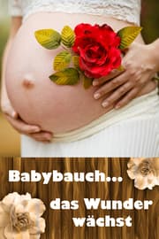 Cover von Babybauch...das Wunder wächst
