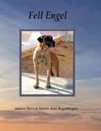Cover von Fell Engel