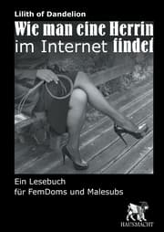 Cover von Wie man eine Herrin im Internet findet
