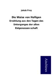 Cover von Die Waise von Holligen