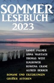 Cover von Sommer Lesebuch 2023 - Romane und Erzählungen großer Autoren