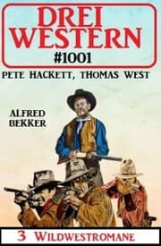 Cover von Drei Western 1001