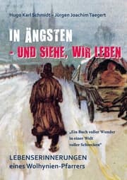 Cover von In Ängsten - und siehe, wir leben