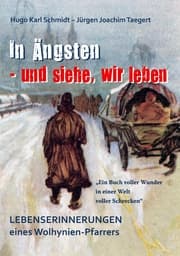 Cover von In Ängsten - und siehe, wir leben