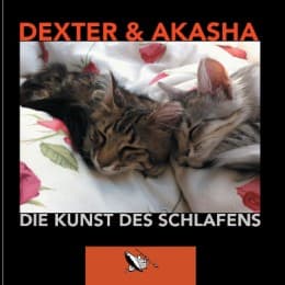 Cover von Die Kunst des Schlafens
