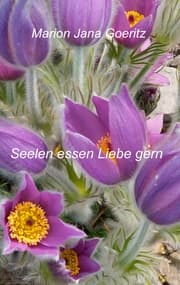 Cover von Seelen essen Liebe gern