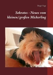 Cover von Sokrates - Neues vom kleinen/großen Mickerling