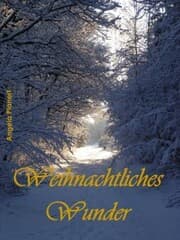 Cover von Weihnachtliches Wunder