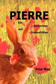 Cover von P I E R R E