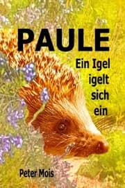 Cover von P A U L E