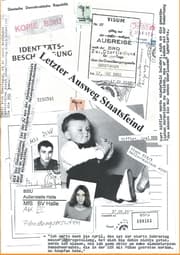 Cover von Letzter Ausweg Staatsfeind