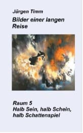 Cover von Raum 5 Halb Sein, halb Schein, halb Schattenspiel
