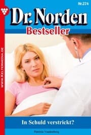 Cover von In Schuld verstrickt?