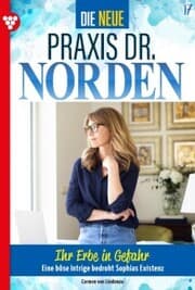Cover von Ihr Erbe in Gefahr