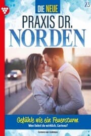 Cover von Gefühle wie ein Feuersturm