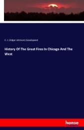 Cover von History Of The Great Fires In Chicago And The West