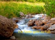 Cover von Die Seele geht zu Fuß