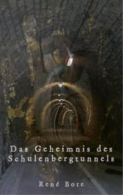 Cover von Das Geheimnis des Schulenbergtunnels