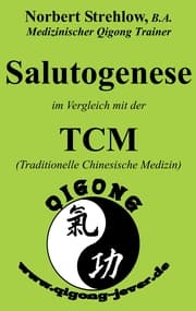Cover von Salutogenese im Vergleich mit der TCM (Traditionelle Chinesische Medizin)