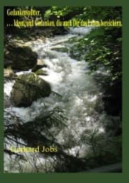 Cover von Gedankensplitter