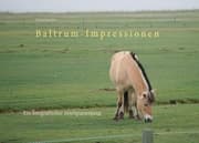 Cover von Baltrum-Impressionen