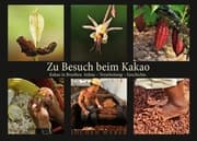 Cover von Zu Besuch beim Kakao