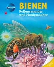 Cover von Galileo Wissen: Bienen
