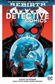 Cover von Batman - Detective Comics 13