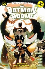 Cover von Batman und Robin 2
