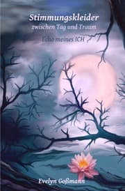 Cover von Stimmungskleider zwischen Tag und Traum