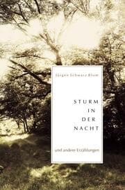 Cover von Sturm in der Nacht