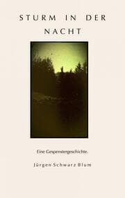 Cover von Sturm in der Nacht