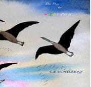 Cover von Der Flug der Wildenten