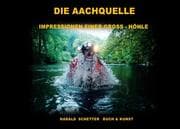Cover von DIE AACHQUELLE
