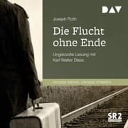 Cover von Die Flucht ohne Ende