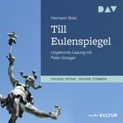 Cover von Till Eulenspiegel. Ein kurzweiliges Buch von Till Eulenspiegel aus dem Lande Braunschweig in 96 Historien