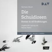 Cover von Die Schuldlosen. Roman in elf Erzählungen