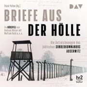 Cover von Briefe aus der Hölle. Die Aufzeichnungen des jüdischen Sonderkommandos Auschwitz