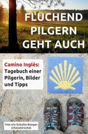 Cover von Fluchend pilgern geht auch