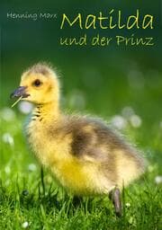 Cover von Matilda und der Prinz