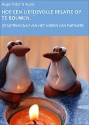 Cover von HOE EEN LIEFDEVOLLE RELATIE OP TE BOUWEN.