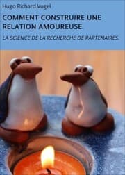 Cover von COMMENT CONSTRUIRE UNE RELATION AMOUREUSE.