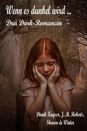 Cover von Wenn es dunkel wird ...