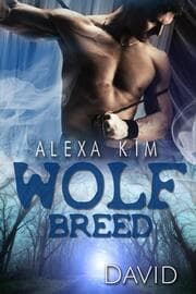 Cover von Wolf Breed - David (Band 7)