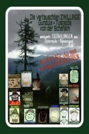 Cover von die vertauschten ZWILLINGE
