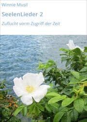 Cover von SeelenLieder 2