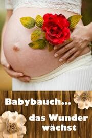 Cover von Babybauch...das Wunder wächst