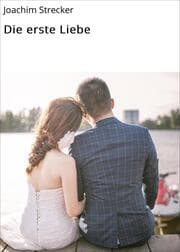 Cover von Die erste Liebe