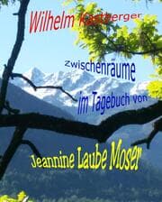 Cover von Zwischenräume im Tagebuch von Jeannine Laube-Moser