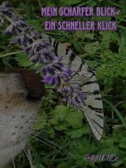 Cover von mein _scharfer_BLICK¿ein_schneller-KLICK¿IDEE+GLÜCK